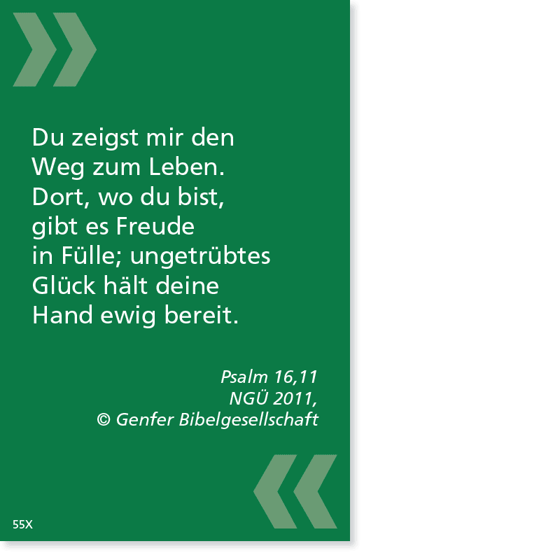 BibelCard ­– Bibelvers auf buntem Kärtchen