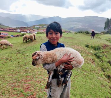 Ein Junge aus den Anden in Peru mit einem Schaf auf dem Arm